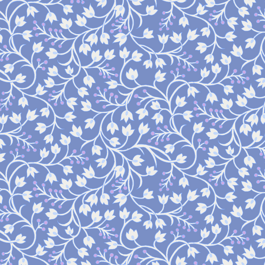 Blueberry Sky KT230SKY