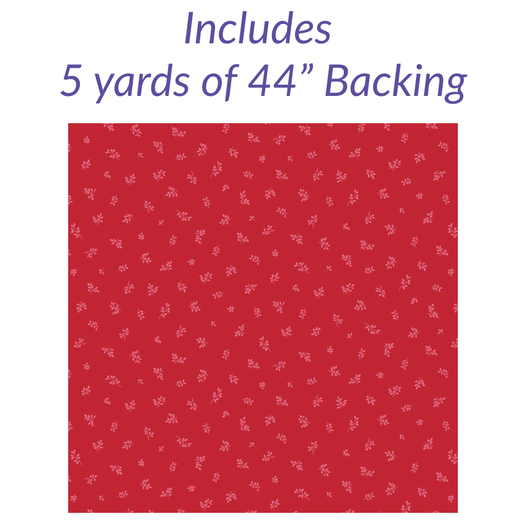 Turnstile No Cutting Quilt Kit