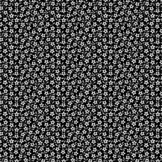 Magic Garden KT224MIDNIGHT